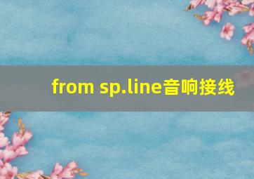 from sp.line音响接线